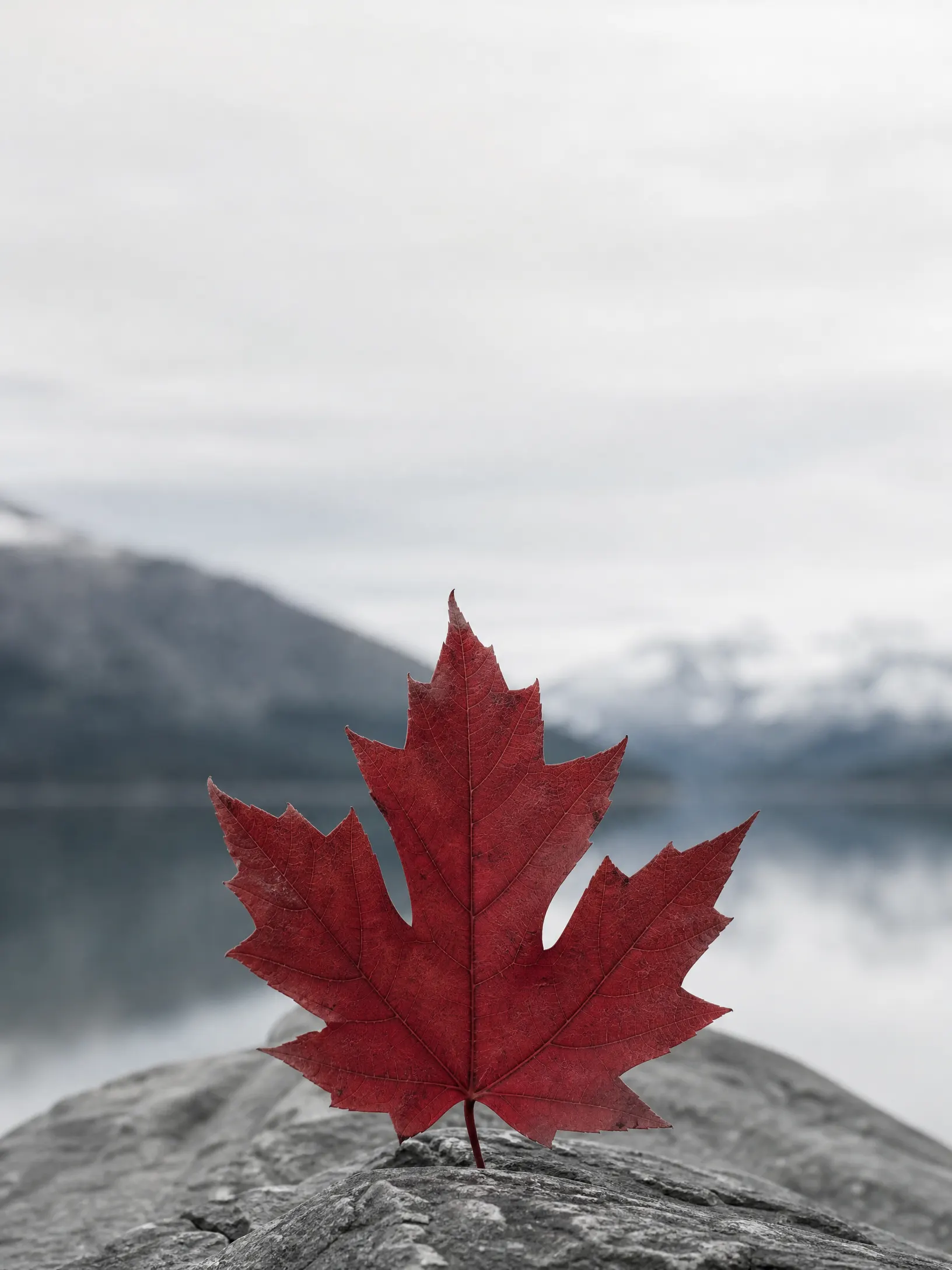 Visa para Canadá