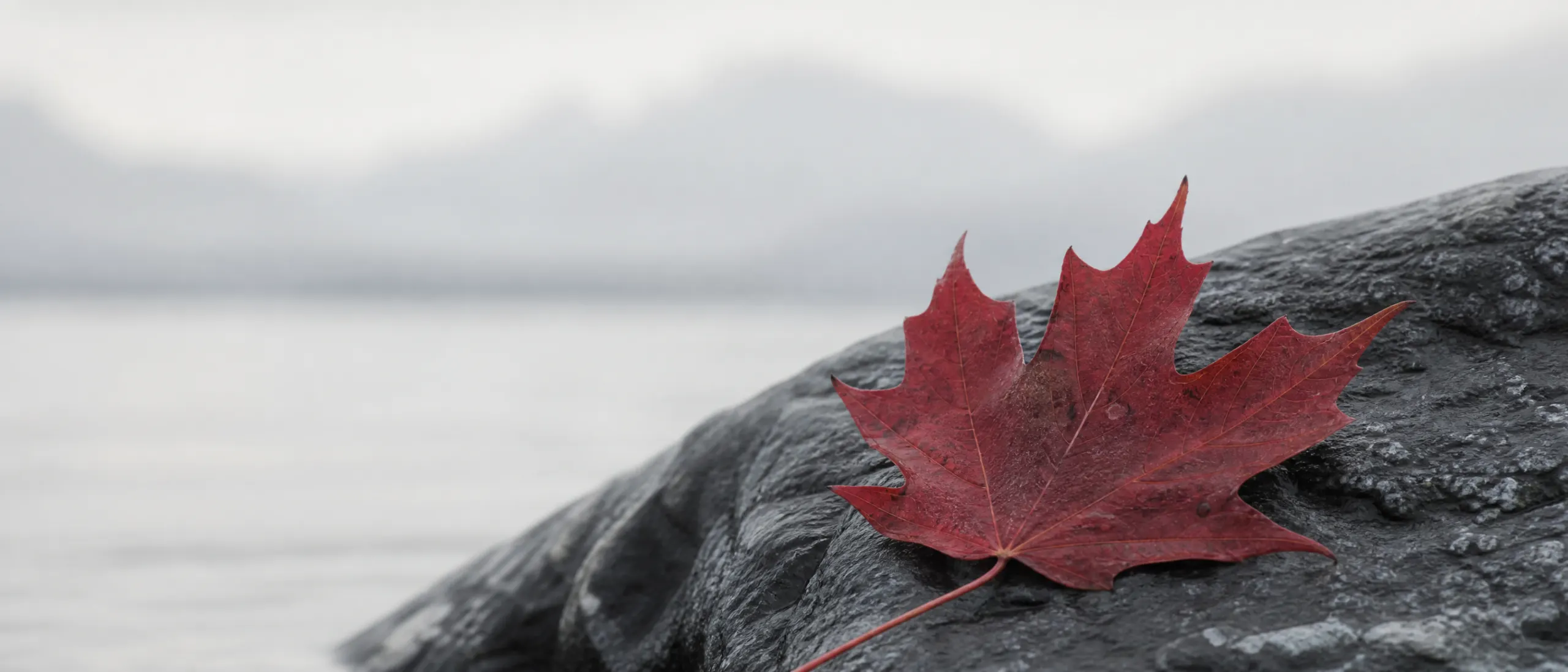 Visa para Canadá