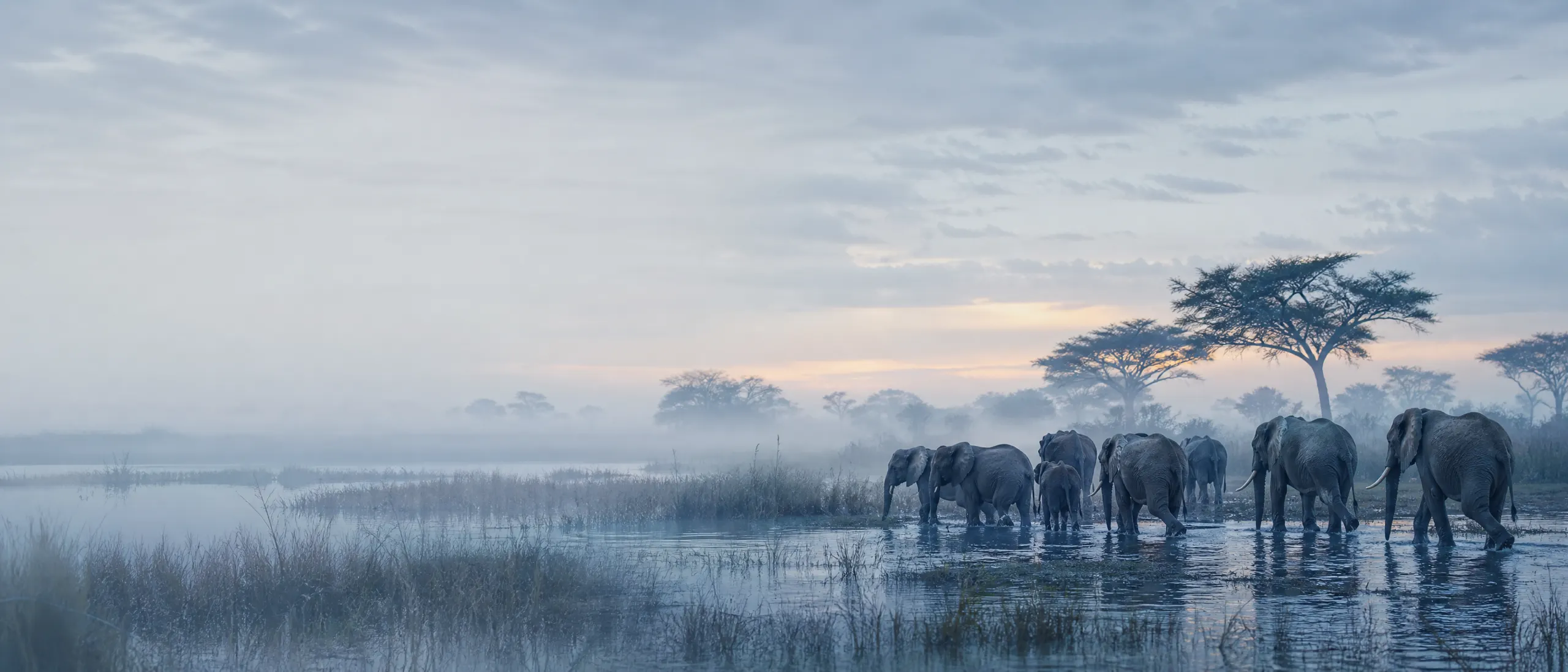 Visa para Botswana